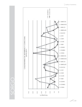 59
Cultivos Transitorios
SORGO
0,0
5,0
10,0
15,0
20,0
25,0
30,0
35,0
ENERO-10
FEBRERO-10
MARZO-10
ABRIL-10
MAYO-10
JUNIO-10
JULIO-10
AGOSTO-10
SEPTIEMBRE-10
OCTUBRE-10
NOVIEMBRE-10
DICIEMBRE-10
ENERO-11
FEBRERO-11
MARZO-11
ABRIL-11
MAYO-11
JUNIO-11
JULIO-11
AGOSTO-11
SEPTIEMBRE-11
OCTUBRE-11
NOVIEMBRE-11
DICIEMBRE-11
Porcentaje%
CALENDARIODESIEMBRASYCOSECHAS
2010-2011
SIEMBRAS
COSECHAS
 