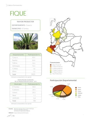 Convenciones
MAYOR PRODUCTOR
DEPARTAMENTO:
Departamento Participación %
MUNICIPIO:
Participación Departamental
Mayor Productor
2º Mayor Productor
3º Mayor Productor
4º Mayor Productor
5º Mayor Productor
Otros Productores
PARTICIPACIÓN MUNICIPAL
DE LA PRODUCCIÓN EN CAUCA - 2011
Información correspondiente al año agrícola
Ministerio de Agricultura y Desarrollo Rural
Dirección de Política Sectorial
Secretarias de Agricultura; UMATAS
Grupo Sistemas de InformaciónElaboró:
Fuente:
Municipio Participación %
Cauca 35,5
34,8
14,3
100,0
Nariño
Tolima
12,3
1,8
Antioquia
Caldas
1,3Otros
Total
El Tambo 40,8
25,5
100
Caldono
Totoró 20,3
7,7Silvia
5,8Jambaló
Total
FIQUE
Cauca
El Tambo
Cauca
Nariño
Tolima
Antioquia
Caldas
Otros
Información correspondiente al año agrícola
35,5%
34,8%
14,3%12,3%
1,8%
1,3%
98
Cultivos Permanentes
 