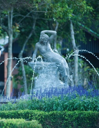 ANUÁRIO NOIVAS BEM-ESTAR

49

 