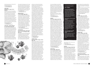 do que acrescentando. Já estaria bom o         das panelas e subdivisões comuns a este        acordo com o editorial de sua edição          do Lourenço Mutarelli. Dos veteranos,                                                             que as páginas ficam poluídas demais e
suficiente sem eles. (DU)                      meio, Aviso Final consolidou-se como um        de estréia. Assim, Café Espacial é uma        saliento “Dia de Pedir Demissão”, de                                                              a atenção do leitor acaba dividida entre
  henriquemais@gmail.com                       espaço democrático em que tendências           publicação que oferece HQ, música,            Bira Dantas, com a crítica social mordaz        3 perguntas para                                  a algazarra publicitária e o bom desenho
  www.marcadefantasia.com                      diferentes (e frequentemente divergentes)      cinema, fotografia e literatura.              característica do autor. Gazy Andraus e                                                           do autor.
                                               do punk são apresentadas. Contemplar           O grande destaque da Café Espacial            Edgard Franco, legítimos representantes         RIC RAMOS                                         A edição de número 57 trazia uma história
AVISO FINAL                                    estas capas, portanto, é contemplar uma        são as HQs. Colaboradores como Mário          dos quadrinhos poético-filosóficos, tam-                                                          longa com o personagem Dagoberto,
#24 ao 26 / A5 / 12 pags. / xerox /            parte significativa do que foi o punk brasi-   Cau, Laudo Ferreira, D.W., Sueli Mendes       bém marcam presença de maneira muito            Por que o nome Janela Poderosa?                   além de algumas tiras e piadas quadrini-
2009-2010                                      leiro nas últimas duas décadas. (DU)           e, especialmente, Allan Ledo, garantem        interessante: além das HQs propriamente         O nome partiu de duas idéias. A primeira,         zadas. Já o número 58, lançado em meio
Resenhar um dos zines mais antigos e              avisofinal@gmail.com                        um excelente nível para a revista que, por    ditas, ambos detalham em textos o pro-          mais simples, quando você abre uma                às eleições presidenciais, foi praticamen-
produtivos do país não é uma tarefa fácil.        www.fotolog.com/aviso_final                 si só, justificariam sua aquisição. A parte   cesso de criação de suas histórias e as         revista ou um livro, você vê uma                  te um especial do personagem Omar Ajá,
Afinal, o Aviso Final está há mais de 20                                                      textual é mais cheia de altos e baixos.       referências utilizadas.                         paisagem de ideias. É como se abrisse             um político tipicamente brasileiro. (DU)
anos apoiando a cena musical punk/             BACANA PEOPLE                                  As entrevistas com as bandas poderiam         Boa revista que, se mantiver o fôlego,          uma janela. Uma “Janela Poderosa”!                   revistascartum@gmail.com
hardcore. Atravessou crises financei-          #1 / A5 / xx pags. / digital / 2010            ter perguntas mais consistentes, fugirem      certamente surpreenderá nas próximas            A segunda idéia que reforça o nome vem
ras, o boom da Internet e ainda está na        Fanzine de quadrinhos que cativa pelo          mais dos clichês. A entrevista com a          edições. (DU)                                   do álbum intitulado “Power Windows”               CGZINE
ativa com o mesmo espírito de sempre.          bom humor e nonsense de suas histórias.        Banda Gentileza (#7), em formato foto-           caminhodirato@gmail.com                      (Janela de Força) da banda canadense de           e.e. / A5 / 4 pags. / xerox / 2009
Entrevistas muito bem conduzidas e             A mais longa é “O que tem no bosque?”,         novela, por exemplo, foi uma grande              www.tokadirato.blogspot.com                  rock progressivo, Rush.                           Esse zine já é editado há mais de 10
resenhas de zines, discos, livros e vídeos     que fala sobre a bebedeira de Amador,          sacada. Também foram muito boas a                                                                                                               anos. Nessa edição especial bem
compõe as suas edições que, embora             um tipo que se embrenha no bosque para         entrevista com Daniel Galera (#2) e as        CANCRO                                          Como você define os temas das edições             simples (uma folha A4 dobrada em dois)
sem periodicidade definida, sempre estão       pegar as cachaças de uma macumba               matérias “Esse Mundo É Nosso” (#7)            #1 ao 5 / A6 / 16 pags. / xerox / 2010          do fanzine?                                       temos como principal texto o “Guerra do
circulando por aí. Um verdadeiro monu-         e volta em companhia de um cara bem            e “No Coração do Cinema, a Sala de            Um zine literário que aposta em contos,         Os zines são definidos por assuntos de            Paraguai Zombie”, seguindo a tendência
mento vivo de resistência (contra)cultural     esquisito que faz a noite ficar ainda mais     Projeção”(#6). Por outro lado, eu não         poesias e alguns quadrinhos, com parti-         meu interesse, mas que são de                     de certa literatura em revisitar certos
que, se você ainda não conhece, deveria        louca. O humor fica por conta das tirinhas     vejo o ponto em dedicar matérias para         cipação de autores variados. O que mais         interesse pra muita gente também.                 livros/eventos e reescrevê-los em uma
morrer de vergonha. (LM)                       “Quase engenheiros”, uma boa sátira            diretores como Quentin Tarantino (#5),        me chamou a atenção nesse zine foram            Escolho um tema “X” e faço uma                    tônica fantástica. Nesse caso, o texto
   avisofinal@gmail.com                        com esse pessoal das calculadoras e            Tim Burton (#4) ou Woody Allen (#3). São      os contos: curtos, retos e, por vezes, sur-     pequena pesquisa criando um pequeno               mostra muito bem o que foi a carnificina
   www.fotolog.com/aviso_final                 fórmulas incompreensíveis. Importante          escolhas meio óbvias e, excetuando o          preendentes. Alguns deles conseguiram           conteúdo como introdução.                         dessa guerra covarde, onde o Brasil teve
                                               comentar também sobre o editorial, que         caso de uma entrevista exclusiva ou de        alcançar aquele grau de tensão que Julio        Pra ficar mais divertido, eu procuro por          um papel preponderante. Afinal, por que
AVISO FINAL - EDIÇÃO ESPECIAL                  é um guia divertido sobre como apreciar        uma análise diferenciada de suas obras,       Cortázar, um dos grandes contistas da           algo que tenha alguma relação com                 você acha que o Paraguai é tão pobre
e.e. / A5 / 24 pags. / xerox / 2010            um fanzine independente. (LM)                  toda informação sobre as biografias e         literatura mundial, acreditava ser o núcleo     este tema como ciência, história,                 assim? Há também poesias de inspiração
Se manter ativa uma publicação por 20             murilo.soza@gmail.com                       filmografias desses senhores pode ser         diferenciador do conto como gênero              comportamento, cultura... Daí eu os               gore e crítica social, além de uma lista de
anos é um feito raro até no mercado edi-          www.cavandocomacolher.blogspot.com          “googleada” sem esforço algum.                literário: é o caso de “Simão”, que lemos       conecto formando um mosaico                       links para páginas de bandas, distros e
torial profissional, o que dizer então sobre                                                  Algo interessante em ter a oportunidade       impacientes e ao chegar ao final somos          interessante.                                     zines. (LM)
um fanzine com essa idade? Aviso Final,        CAFÉ ESPACIAL                                  de ler os 7 números da revista é acom-        surpreendidos por um fato completamen-                                                                enriqueddo@hotmail.com
editado por Renato Donisete, é um dos          #1 / 14 x 21 cm / 48 pags. / offset / 2007     panhar seu evidente amadurecimento.           te inesperado. “Manicômios juvenis” fala        Fazer zines de papel em um mundo                      www.cgzine.blogger.com.br
poucos que conseguiram essa façanha.           #2 ao 7 / 14 x 21 cm / 60 pags. / offset /     Cada edição parece mais coesa e bem           sobre um tipo que faz uma visita a um           dominado pela Internet. Qual o
Como parte das comemorações deste              2008 - 2010                                    resolvida que a anterior. Conquistar          centro de recuperação para drogados e           sentido?                                          CHRISTA CORE
aniversário, foi lançada essa simpática        Café Espacial é uma revista independente       uma identidade é algo difícil para uma        saí de lá consciente de que droga pode          O sentido é passional pra quem é zineiro.         e.e. / A5 / 12 pags. / xerox / 2008
edição especial do Aviso Final. Nela, o        que ganhou merecido reconhecimento             publicação com proposta tão eclética, e       ser muita coisa: “Não é só o crack ou a         Nunca fui contra os ditos “e-zines”,              Esse zine tem a proposta de falar de
leitor encontrará uma sucinta biografia        e notoriedade ao longo das 7 edições           sem dúvidas eles estão caminhando na          pasta, mas os sites de relacionamento,          mas receber pelo correio os zines de              hardcore/punk e cristianismo através de
do zine seguida de reproduções das             lançadas até o fechamento deste                direção certa. (DU)                           a masturbação, as novelas, as igrejas,          papel é muito mais legal. A internet              quadrinhos. Fazer essa resenha não é
capas dos 27 números já lançados,              Anuário. Idealizada por Sergio Chaves             cafeespacial@gmail.com                     as lojas de roupa, as universidades, as         ainda mantém um contato frio entre as             algo fácil, visto que essa aproximação
onde se torna evidente a compreensão           após alguns anos de fanzinagem, surgiu            www.cafeespacial.com                       pizzarias (...) Toda essa merda que nos         pessoas.                                          entre algo que, pelo menos em teoria, é
ampla que Renato possui da cena punk/          com o objetivo ambicioso de propagar                                                         ajuda a escapar da outra merda na qual                                                            contestador e antidogmático com a podri-
hardcore, foco de sua publicação. Livre        arte “na total amplitude da palavra”, de       CAMIÑO DI RATO                                chafurdamos.” Mas foi “Angústia noturna”                                                          dão ideológica cristã sempre soou para
                                                                                              #1 ao 3 / 21 x 28 cm / 48 pags. / offset /    o conto que mais me chamou a aten-                                                                mim como algo suspeito, uma tentativa
                                                                                              2008 - 2010                                   ção, por conseguir captar um pouco da                                                             de conquistar novos fiéis através de um
                                                                                              Camiño Di Rato resgata um tipo de publi-      complexa sensibilidade feminina (o autor                                                          cristianismo superficial e tolerante –e
                                                                                              cação que gozou de certa popularidade         é um homem, vale dizer) e pelas belas         Tem tudo para crescer e virar um zine               que garante fiéis para lotar os templos e,
                                                                                              nos anos 90 e que revelou ao mundo            metáforas envolvendo o cair da chuva,         bacana. (DU)                                        claro, pagar dízimos.
                                                                                              alguns artistas que viriam a ser “meda-       suor e esperma que transformam a cena           murilo.soza@gmail.com                             Voltando ao zine: o personagem principal
                                                                                              lhões” da nona arte: revistas com HQs de      da morte ao final em algo muito belo.           www.cavandocomacolher.blogspot.com                é o Seu Madruga (isso mesmo, o eterno
                                                                                              autores de diferentes estilos, com miolo      Que o Cancro se espalhe! (LM)                                                                     devedor de nove meses de aluguel) que
                                                                                              preto e branco em papel jornal e capa             gilvieiracosta@hotmail.com                CARTUM                                              luta contra o seu próprio reflexo do es-
                                                                                              colorida. Mil Perigos, Tralha, Megazine,          www.cancrozine.blogspot.com               #57 e 58 / A5 / 28 pags. / offset / 2010            pelho. O roteiro é a letra de uma música
                                                                                              Porrada Especial... Marcas de um tempo                                                      Vem da cidade de Brusque, no interior               do Rodox, banda cristã fundada pelo
                                                                                              em que as prateleiras de quadrinhos nas       CARA DE PAU                                   catarinense, essa peculiar publicação               ex-vocalista do Raimundos. Difícil dizer
                                                                                              bancas de revistas ainda não haviam sido      #1 / A5 / 12 pags. / digital / 2010           humorística. Idealizada e produzida pelo            qualquer outra coisa, já que para mim as
                                                                                              divididas exclusivamente entre os enla-       Zine de quadrinhos editado por Murilo         prolífico Aldo Maes, Cartum é recheada              coisas não se encaixam. (LM)
                                                                                              tados americanos e os japoneses. Mas          Souza e Morgana Mastrianni. Metade            com os quadrinhos, tiras e passatempos                 cronicas34@hotmail.com
                                                                                              deixemos de lado o saudosismo por ora.        deste número é reservado à HQ “100            do autor, mantendo sempre um nível                     www.myspace.com/saraucomics
                                                                                              Nas três edições já lançadas da Camiño        Passos”, com desenhos da Morgana              “humor para toda a família”.
                                                                                              di Rato, nomes consagrados convivem           e texto de Julio de Castro. Boa história      Chama atenção a quantidade de peque-                COISAS QUE SE CONTAM
                                                                                              lado a lado com novos talentos e a            sobre adolescência, com desenhos              nos anúncios veiculados aqui: todos os              #1 ao 5 / 10,5 x 10 cm / 12 pags. / xerox
                                                                                              miríade de temas vai do humor político        simples, soluções gráficas interessantes      espaços (até mesmo a capa!) são ocupa-              / 2008
                                                                                              aos questionamentos existenciais, com         e um humor meio melancólico. O restante       dos pelas extravagantes mensagens do                Zine literário que reúne contos e poesias
                                                                                              resultados na maioria das vezes bem           é dividido entre duas tiras da Família Cruz   comércio local. Imagino que seja assim              do escritor/editor Márcio Araújo, que edita
                                                                                              positivos. Dos autores que me eram            (criação de Murilo sobre uma família de       que Aldo consiga manter a periodicida-              também um blog. Os contos, brevíssi-
                                                                                              desconhecidos, destaco o Al Greco, com        vampiros), dois cartuns da Morgana e          de mensal e a impressão inteiramente                mos, compõe a maior parte das edições
Cancro                                                                                        um trabalho que remete às antigas HQs         biografia dos autores. Curto e promissor.     colorida de sua revista. O lado negativo é          do zine, e muitas vezes com desfechos




10       UGRA PRESS - 2011                                                                                                                                                                                                   1o ANUÁRIO DE FANZINES, ZINES E PUBLICACÕES ALTERNATIVAS   11
 