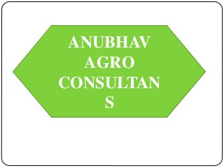 ANUBHAV AGRO
CONSULTANTS
ANUBHAV
AGRO
CONSULTAN
S
 