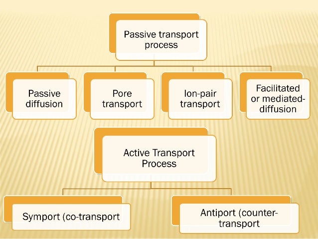types of cell transport