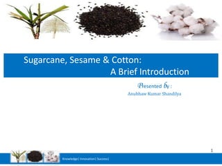 Sugarcane, Sesame & Cotton:
                   A Brief Introduction
                                               Presented by :
                                           Anubhaw Kumar Shandilya




                                                                     1
         Knowledge| Innovation| Success|
 