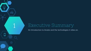 Executive Summary
An Introduction to Anubis and the technologies it relies on.
1
 