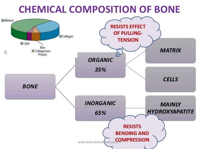 chemical of composition e. bone / metabolism implant dental bone courses chemical of composition e. bone / metabolism implant dental bone courses
