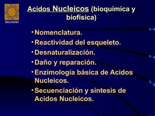 IBt/UNAM
•Nomenclatura.
•Reactividad del esqueleto.
•Desnaturalización.
•Daño y reparación.
•Enzimología básica de Acidos
Nucleicos.
•Secuenciación y síntesis de
Acidos Nucleicos.
Acidos Nucleicos (bioquímica y
biofísica)
 