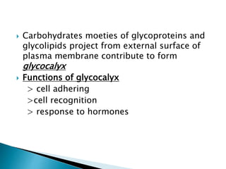  Carbohydrates moeties of glycoproteins and
glycolipids project from external surface of
plasma membrane contribute to form
glycocalyx
 Functions of glycocalyx
> cell adhering
>cell recognition
> response to hormones
 