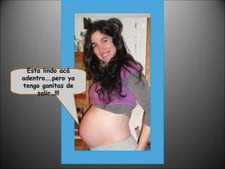 Esta lindo acá adentro….pero ya tengo ganitas de salir…!!! 