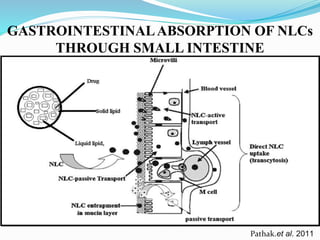 GASTROINTESTINALABSORPTION OF NLCs
THROUGH SMALL INTESTINE
Pathak.et al. 2011
 