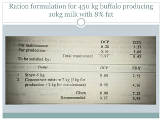 feeding management og high yielding buffaloes | PPTX
