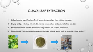 Formulation and evaluation of gel Mouth ulcer management | PPTX