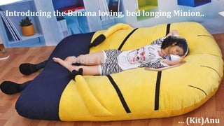 Introducing the Banana loving, bed longing Minion..
… (Kit)Anu
 