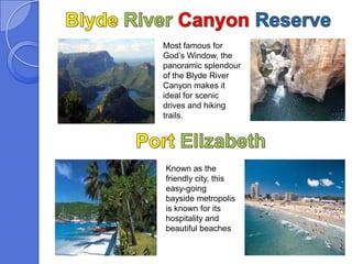 Most famous for
God’s Window, the
panoramic splendour
of the Blyde River
Canyon makes it
ideal for scenic
drives and hiking
trails.




Known as the
friendly city, this
easy-going
bayside metropolis
is known for its
hospitality and
beautiful beaches
 