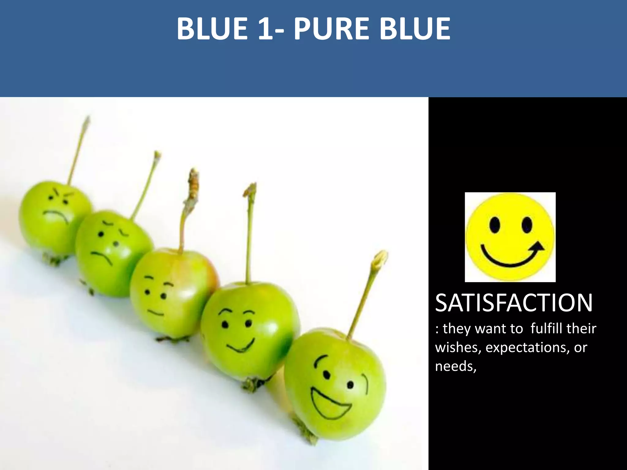 BLUE 1- PURE BLUE
SATISFACTION
: they want to fulfill their
wishes, expectations, or
needs,
 