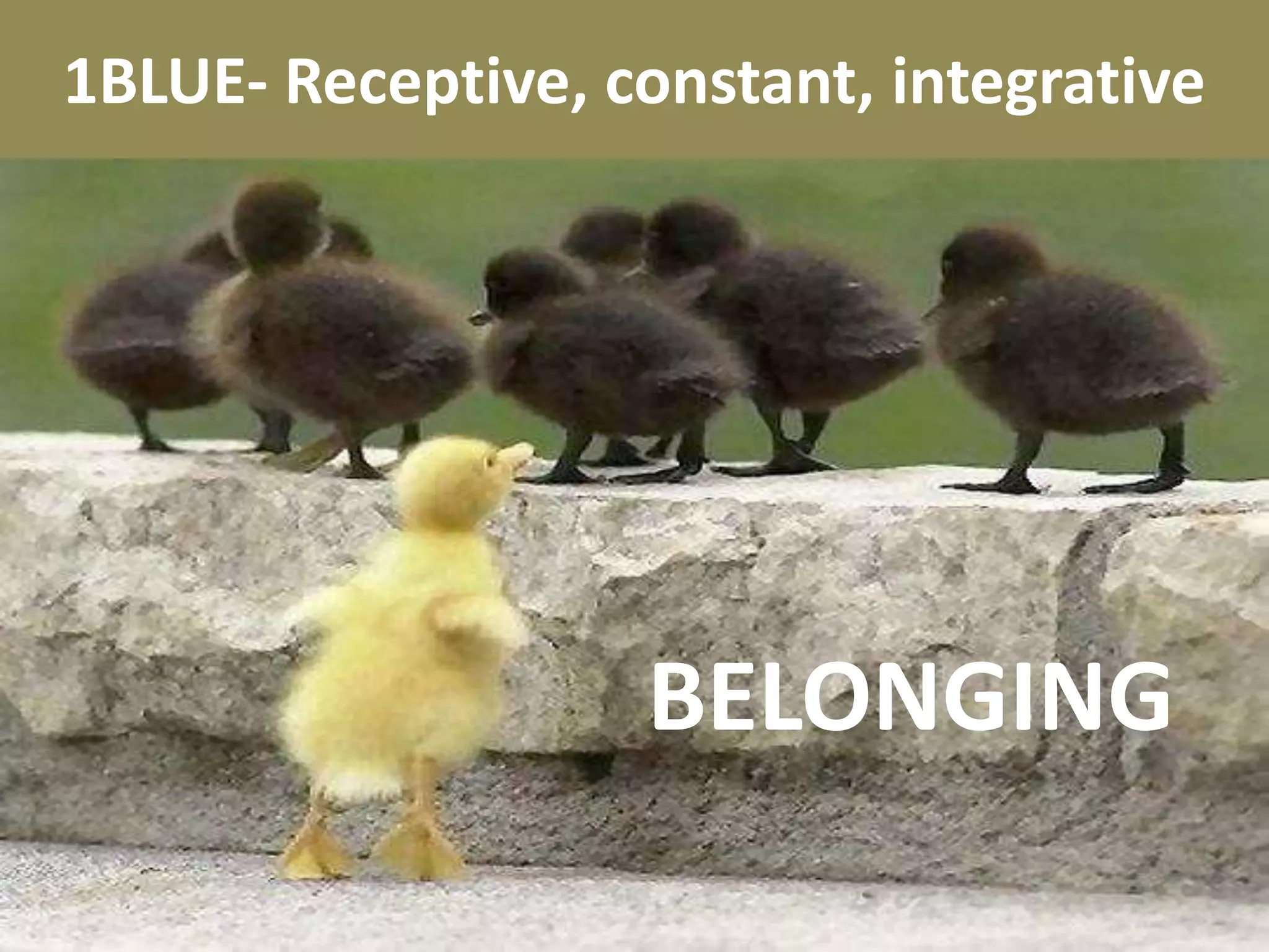 1BLUE- Receptive, constant, integrative
BELONGING
 