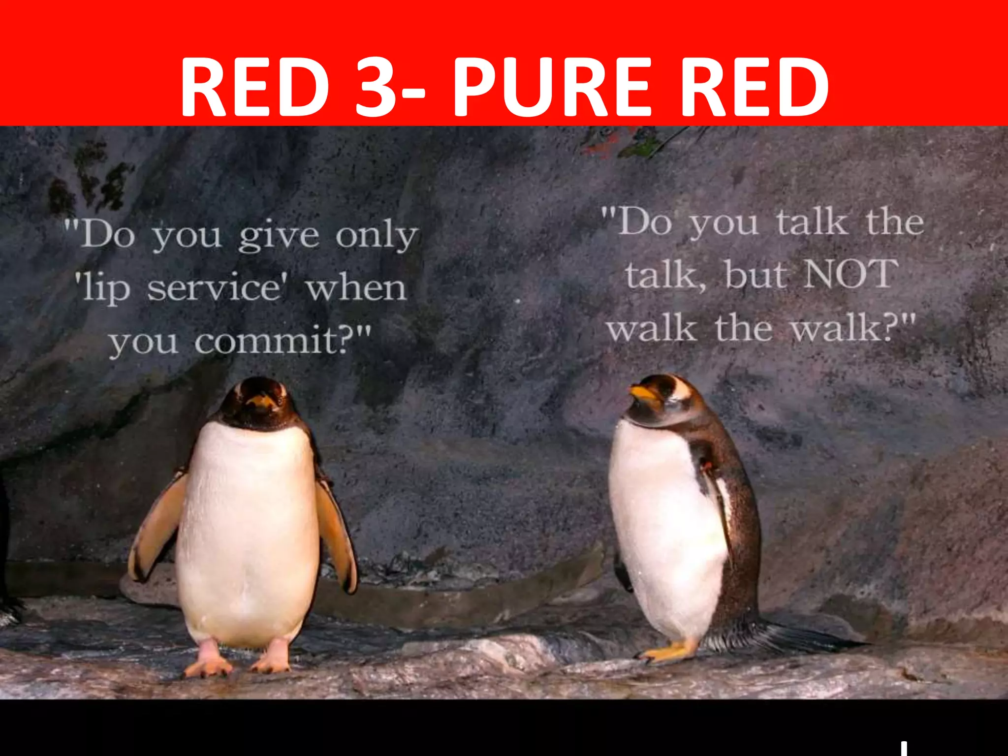 RED 3- PURE RED
 