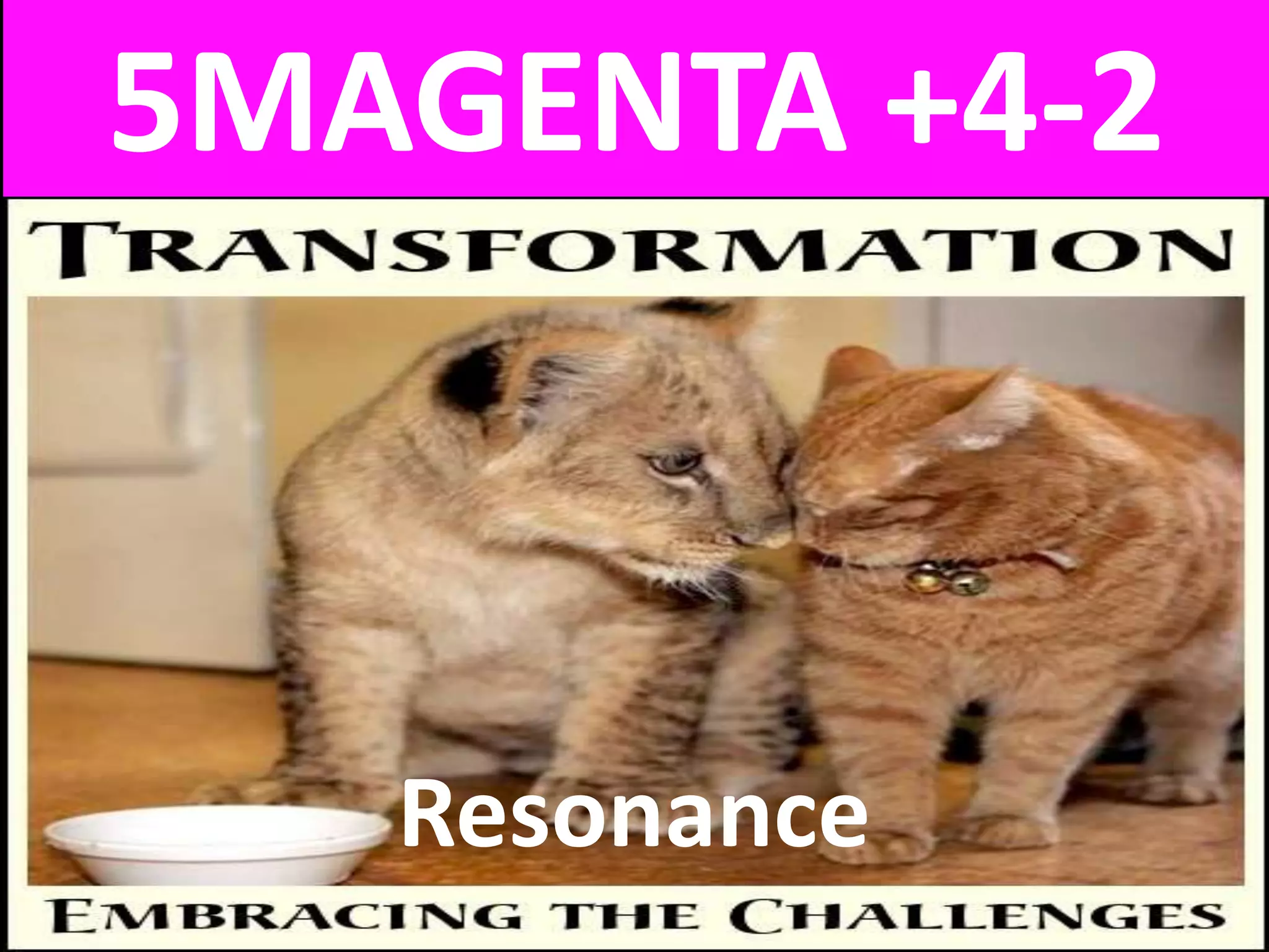 5MAGENTA +4-2
Resonance
 