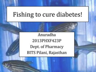 Fishing to cure diabetes!
Anuradha
2013PHXF423P
Dept. of Pharmacy
BITS Pilani, Rajasthan
1
 