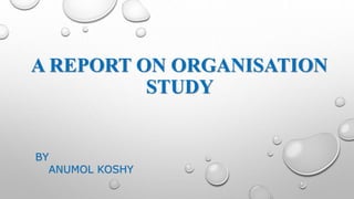 A REPORT ON ORGANISATION
STUDY
BY
ANUMOL KOSHY
 
