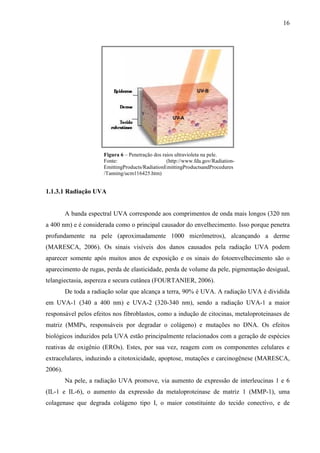 16
Figura 6 – Penetração dos raios ultravioleta na pele.
Fonte: (http://www.fda.gov/Radiation-
EmittingProducts/RadiationEmittingProductsandProcedures
/Tanning/ucm116425.htm)
1.1.3.1 Radiação UVA
A banda espectral UVA corresponde aos comprimentos de onda mais longos (320 nm
a 400 nm) e é considerada como o principal causador do envelhecimento. Isso porque penetra
profundamente na pele (aproximadamente 1000 micrômetros), alcançando a derme
(MARESCA, 2006). Os sinais visíveis dos danos causados pela radiação UVA podem
aparecer somente após muitos anos de exposição e os sinais do fotoenvelhecimento são o
aparecimento de rugas, perda de elasticidade, perda de volume da pele, pigmentação desigual,
telangiectasia, aspereza e secura cutânea (FOURTANIER, 2006).
De toda a radiação solar que alcança a terra, 90% é UVA. A radiação UVA é dividida
em UVA-1 (340 a 400 nm) e UVA-2 (320-340 nm), sendo a radiação UVA-1 a maior
responsável pelos efeitos nos fibroblastos, como a indução de citocinas, metaloproteinases de
matriz (MMPs, responsáveis por degradar o colágeno) e mutações no DNA. Os efeitos
biológicos induzidos pela UVA estão principalmente relacionados com a geração de espécies
reativas de oxigênio (EROs). Estes, por sua vez, reagem com os componentes celulares e
extracelulares, induzindo a citotoxicidade, apoptose, mutações e carcinogênese (MARESCA,
2006).
Na pele, a radiação UVA promove, via aumento de expressão de interleucinas 1 e 6
(IL-1 e IL-6), o aumento da expressão da metaloproteinase de matriz 1 (MMP-1), uma
colagenase que degrada colágeno tipo I, o maior constituinte do tecido conectivo, e de
 