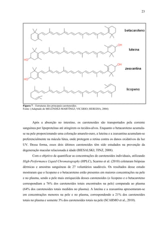 23
Figura 7 – Estruturas dos principais carotenoides.
Fonte: (Adaptado de MELÉNDEZ-MARTÍNEZ; VICÁRIO; HEREDIA, 2004)
Após a absorção no intestino, os carotenoides são transportados pela corrente
sanguínea por lipoproteínas até atingirem os tecidos-alvos. Enquanto o betacaroteno acumula-
se na pele proporcionando uma coloração amarelo-ouro, a luteína e a zeaxantina acumulam-se
preferencialmente na mácula lútea, onde protegem a retina contra os danos oxidativos da luz
UV. Dessa forma, esses dois últimos carotenoides têm sido estudados na prevenção da
degeneração macular relacionada à idade (BIESALSKI; TINZ, 2008).
Com o objetivo de quantificar as concentrações de carotenoides individuais, utilizando
High-Performance Liquid Chromatography (HPLC), Scarmo et al. (2010) coletaram biópsias
dérmicas e amostras sanguíneas de 27 voluntários saudáveis. Os resultados desse estudo
mostraram que o licopeno e o betacaroteno estão presentes em maiores concentrações na pele
e no plasma, sendo a pele mais enriquecida desses carotenoides (o licopeno e o betacaroteno
correspondiam a 76% dos carotenoides totais encontrados na pele) comparada ao plasma
(64% dos carotenoides totais medidos no plasma). A luteína e a zeaxantina apresentaram-se
em concentrações menores na pele e no plasma, correspondendo a 21% dos carotenoides
totais no plasma e somente 3% dos carotenoides totais na pele (SCARMO et al., 2010).
 