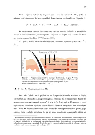25
Outras espécies reativas de oxigênio, como o ânion superóxido (O2-
), pode ser
reduzido pelo betacaroteno devido à capacidade do carotenoide em doar elétrons (Equação 4).
O2-
+ CAR + 2H+
CAR+
+ H2O2 (Equação 4)
Os carotenoides também interagem com radicais peroxila, inibindo a peroxidação
lipídica e, consequentemente, interrompendo a sequência de reações que acarreta em danos
nos compartimentos lipofílicos (STAHL et al., 2000).
A Figura 8 ilustra as ações do carotenoide luteína na epiderme (FLORAGLO®
...,
2011).
Figura 8 – Diagrama representando a orientação da luteína (L) na pele. A luteína
neutraliza radicais livres e acredita-se que ela absorva luz azul (aproximadamente 440 a
485 nm de comprimento de onda) na medida em que ela penetra na pele
Fonte: (Modificado de FLORAGLO®
..., 2011).
1.2.1.1.1 Estudos clínicos com carotenoides
Em 1996, Gollnick et al. publicaram um dos primeiros estudos relatando a função
fotoprotetora do betacaroteno. A suplementação de 30 mg ao dia de betacaroteno, durante 10
semanas aumentou o componente amarelo6
da pele. Além disso, após as 10 semanas, o grupo
suplementado continuou ingerindo o antioxidante e associou a exposição solar natural por
mais 13 dias. Os resultados mostraram que o eritema foi menos pronunciado do que no grupo
placebo. Outro resultado importante foi que no grupo placebo, as concentrações séricas de
6
O componente amarelo da pele está relacionado ao nível de carotenoide. Na cromametria, os valores positivos
de b são indicativos desse “amarelamento” cutâneo. A cromametria é um sistema tridimensional (valores L, a e
b), onde L é um indicador de luminosidade, b (eixo azul-amarelo) indica pigmentação e a (eixo vermelho-verde)
indica formação de eritema. A variação de a (valor de a 24 h após a irradiação subtraído do valor de a antes da
irradiação) mede a resposta da pele após irradiação UV.
 
