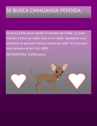 SE BUSCA CHIHUAHUA PERDIDA


Se busca Chihuahua recibe el nombre de Chloe. Es color
marron y tiene un collar rojo en el cuello. Ayudanos a en-
contrarla ya que solo tiene 6 meses de edad. Si la encuen-
tras llamanos al tel: 613-3995.
RECOMPENSA: $1000 pesos
 