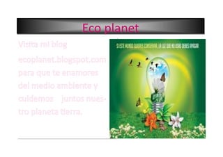 Eco planetEco planetEco planet
 