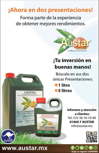 AuStar Mexico