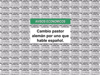 AVISOS ECONOMICOS Cambio pastor alemán por uno que hable español. 