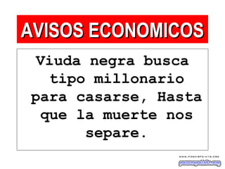 Viuda negra busca
tipo millonario
para casarse, Hasta
que la muerte nos
separe.
AVISOS ECONOMICOSAVISOS ECONOMICOS
 
