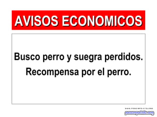Busco perro y suegra perdidos.
Recompensa por el perro.
AVISOS ECONOMICOSAVISOS ECONOMICOS
 