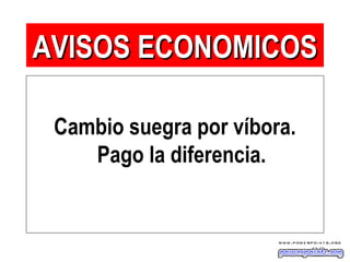 Cambio suegra por víbora.
Pago la diferencia.
AVISOS ECONOMICOSAVISOS ECONOMICOS
 