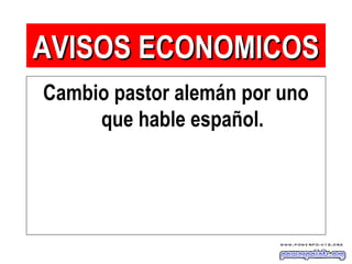 Cambio pastor alemán por uno
que hable español.
AVISOS ECONOMICOSAVISOS ECONOMICOS
 