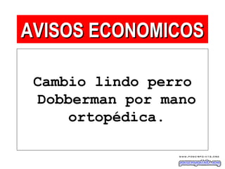 Cambio lindo perro
Dobberman por mano
ortopédica.
AVISOS ECONOMICOSAVISOS ECONOMICOS
 