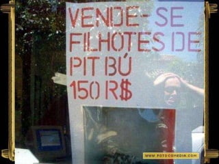 Anuncios engraçados