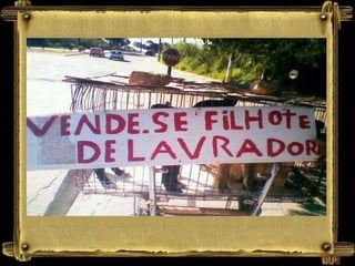 Anuncios engraçados