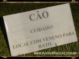 Anuncios engraçados