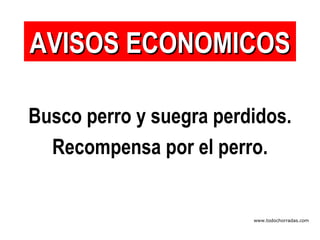 Busco perro y suegra perdidos.  Recompensa por el perro. AVISOS ECONOMICOS www.todochorradas.com 