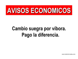 Cambio suegra por víbora. Pago la diferencia. AVISOS ECONOMICOS www.todochorradas.com 