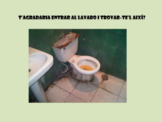 T’agradaria entrar al lavabo i trovar-te’laixí?