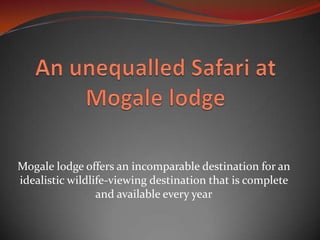 An unequalled Safari at Mogale lodge Mogale lodge offers an incomparable destination for an idealistic wildlife-viewing destination that is complete and available every year 