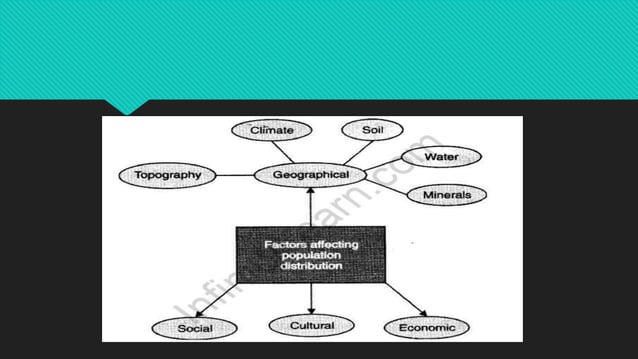 Human Resources( Social Science) Class VIII | PDF | Geography | Science