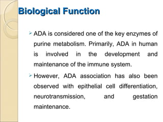 Biological FunctionBiological Function
 ADA is considered one of the key enzymes of
purine metabolism. Primarily, ADA in human
is involved in the development and
maintenance of the immune system.
 However, ADA association has also been
observed with epithelial cell differentiation,
neurotransmission, and gestation
maintenance.
 