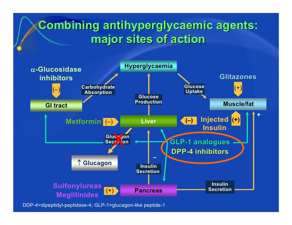 An Update On Dpp 4 Inhibitors In The Management Of Type 2 Diabetes