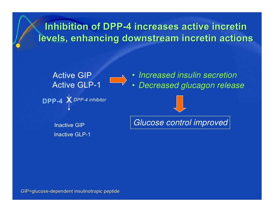 An Update On Dpp 4 Inhibitors In The Management Of Type 2 Diabetes
