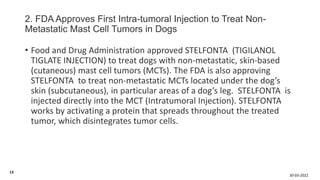 Stelfonta Injection An Updates on veternary formulations.pptx