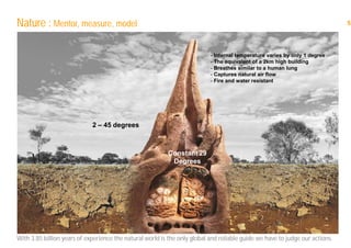 5
With 3.85 billion years of experience the natural world is the only global and reliable guide we have to judge our actions.
Constant 29
Degrees
2 – 45 degrees
- Internal temperature varies by only 1 degree
- The equivalent of a 2km high building
- Breathes similar to a human lung
- Captures natural air flow
- Fire and water resistant
Nature : Mentor, measure, model
 