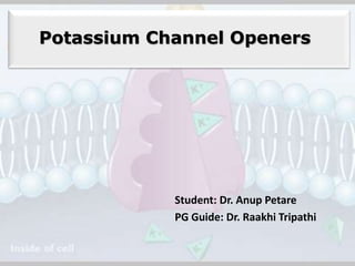 Potassium Channel Openers 
Student: Dr. Anup Petare 
PG Guide: Dr. Raakhi Tripathi 
 