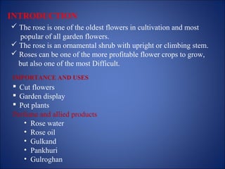 INTRODUCTION
 The rose is one of the oldest flowers in cultivation and most
popular of all garden flowers.
 The rose is an ornamental shrub with upright or climbing stem.
 Roses can be one of the more profitable flower crops to grow,
but also one of the most Difficult.
IMPORTANCE AND USES
 Cut flowers
 Garden display
 Pot plants
Perfume and allied products
• Rose water
• Rose oil
• Gulkand
• Pankhuri
• Gulroghan
 